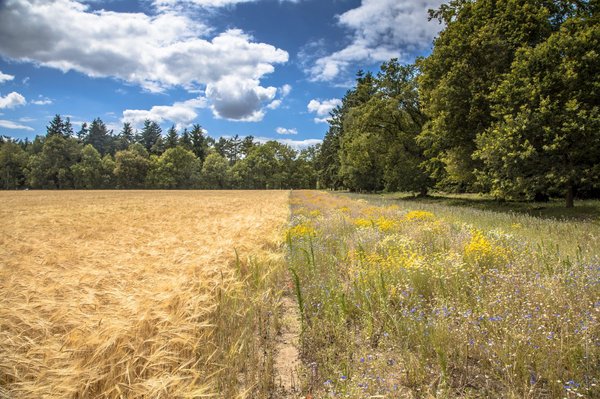 Comment utiliser les réseaux sociaux pour stimuler les ventes sur votre site e-commerce ?
